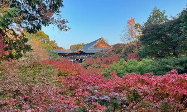 京都観光紅葉の名所である東福寺通天橋