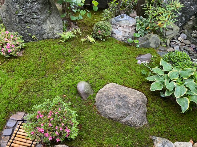 庭の亀石