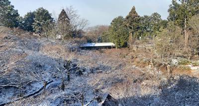 東福寺